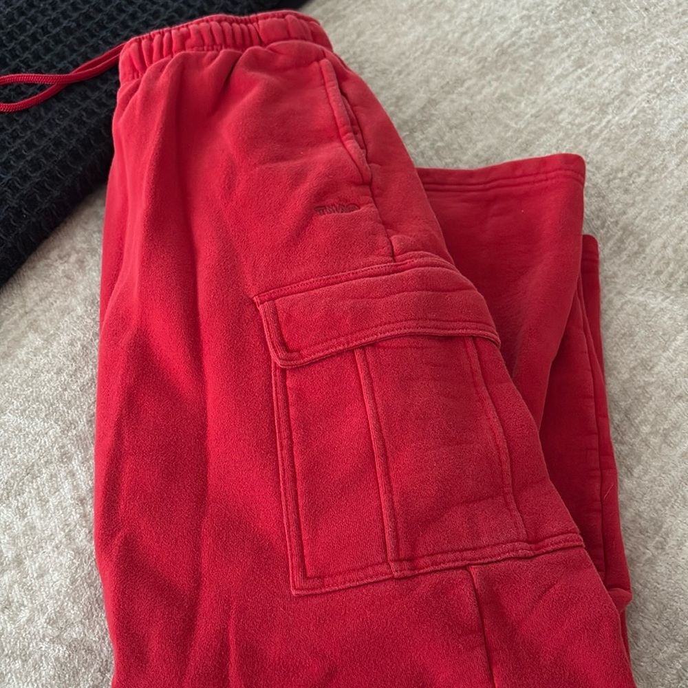 Aritzia cargo pants